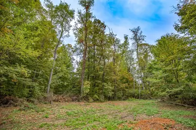 Lot 0 Dublin, Richmond, MA 01254 - Photo 11