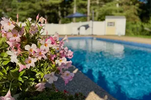 23 Fredrickson Rd, Norfolk, MA 02056 - Photo 5