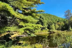 2155 Route 2, Charlemont, MA 01339 - Photo 15