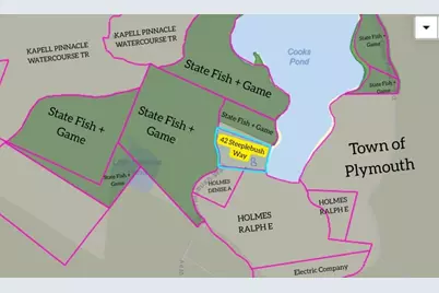 42 Steeplebush Way, Plymouth, MA 02360 - Photo 25