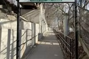 41 Margaret Rd, Newton, MA 02461 - Photo 13