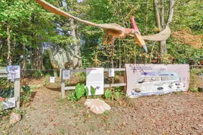 213 Greenfield Rd, Deerfield, MA 01373 - Photo 39