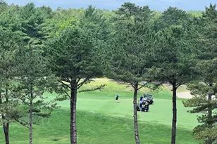 61 Bentgrass Mist, Plymouth, MA 02360 - Photo 11