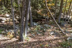 400 Route 11, New Durham, NH 03855 - Photo 39