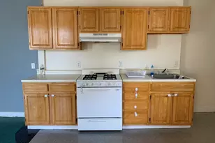 252-254 Magnolia St, Boston, MA 02121 - Photo 19