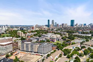 10 Taber St, Boston, MA 02119 - Photo 35