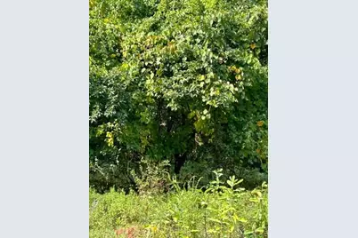 387 Lot 2A Old Road, Duxbury, MA 02332 - Photo 13