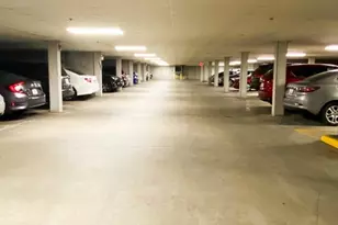 318 Rindge Ave, Cambridge, MA 02140 - Photo 23