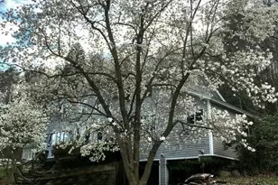 139 Water St, Northampton, MA 01053 - Photo 31