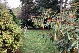 3 Glenoe Rd, Brookline, MA 02467 - Photo 11