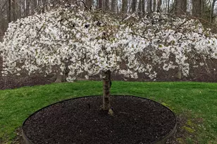 243 Spring St, Shrewsbury, MA 01545 - Photo 39