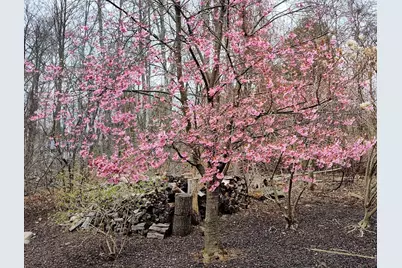 243 Spring Street, Shrewsbury, MA 01545 - Photo 37