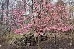 243 Spring St, Shrewsbury, MA 01545 - Photo 37