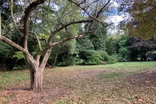 0 Glenoe Rd, Brookline, MA 02467 - Photo 1