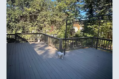 223 Robert Rd, Dedham, MA 02026 - Photo 15