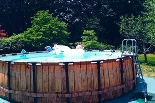 960 Westhampton Rd, Northampton, MA 01062 - Photo 27