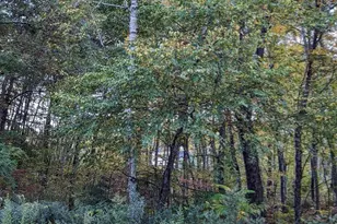 100 Rice Rd, East Brookfield, MA 01515 - Photo 37