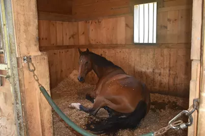 111 Northwest Road, Spencer, MA 01562 - Photo 23