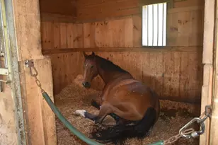 111 Northwest Road, Spencer, MA 01562 - Photo 23