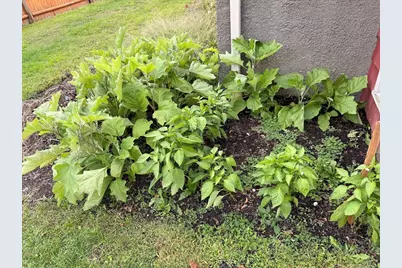 68 Sutcliffe Rd, Lynn, MA 01904 - Photo 9