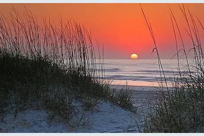 135 Sisson, Harwich, MA 02646 - Photo 23