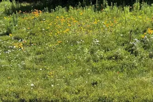 10 Soucy Dr, Rutland, MA 01543 - Photo 31