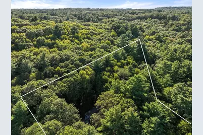 41 Orchard Avenue, Weston, MA 02493 - Photo 7