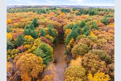 69 Page Rd, Lincoln, MA 01773 - Photo 3