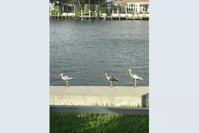 1166 Hillsboro Mile #8, Deerfield, FL 33062 - Photo 9