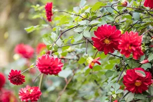 45 Haynes Ave, Falmouth, MA 02540 - Photo 37