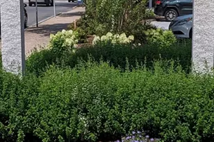 151 Coolidge Ave, Watertown, MA 02472 - Photo 3