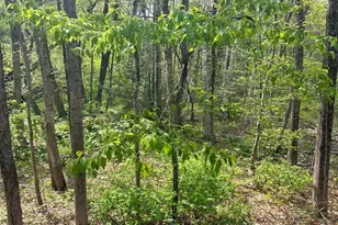 0 Parker Rd, Lancaster, MA 01561 - Photo 1