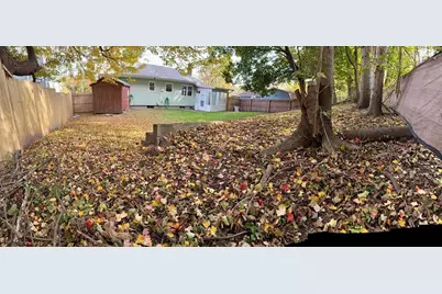 46 Balis St, Springfield, MA 01109 - Photo 5