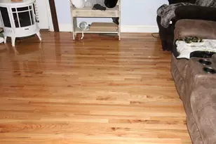 53 Sturdy St, Norton, MA 02766 - Photo 9