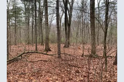 767 Stony Hill Rd, Wilbraham, MA 01095 - Photo 3