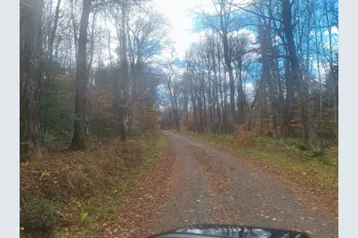 Lot 19 Pierce Road, Peru, MA 01235 - Photo 3