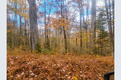 Lot 20 Parish Road, Worthington, MA 01098 - Photo 1