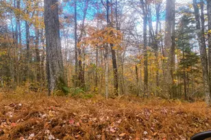 Lot 20 Parish Rd, Worthington, MA 01098 - Photo 1
