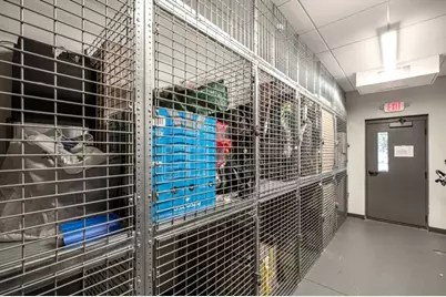 1650 Commonwealth Ave #402, Boston, MA 02135 - Photo 11