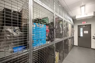 1650 Commonwealth Ave, Boston, MA 02135 - Photo 11