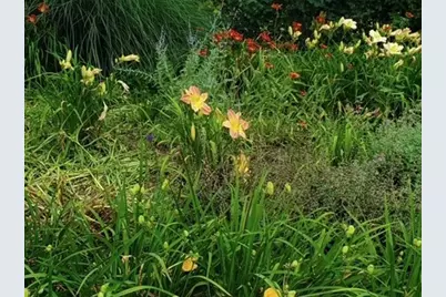 36 Sunrise Ave, Leominster, MA 01453 - Photo 29