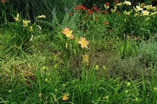 36 Sunrise Ave, Leominster, MA 01453 - Photo 29