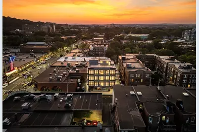 14 Green Street #PH1, Brookline, MA 02446 - Photo 39