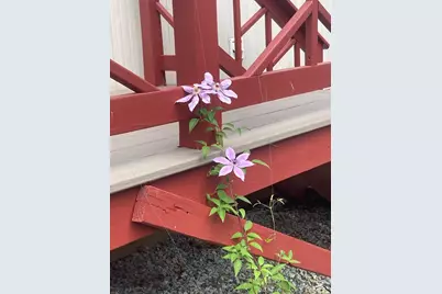 557 Southwest Cutoff #17, Worcester, MA 01607 - Photo 19