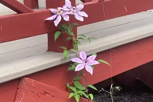 557 SW Cutoff, Worcester, MA 01607 - Photo 19