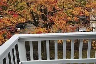 84 Aberdeen Ave, Cambridge, MA 02138 - Photo 11