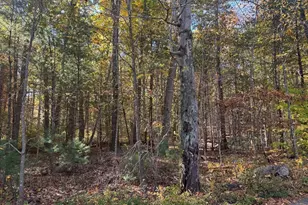 5 Preston Pl, Beverly, MA 01915 - Photo 7