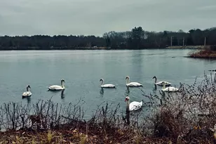 7 Assinippi Ave, Norwell, MA 02061 - Photo 21