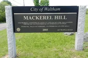 109 Trapelo, Waltham, MA 02452 - Photo 17