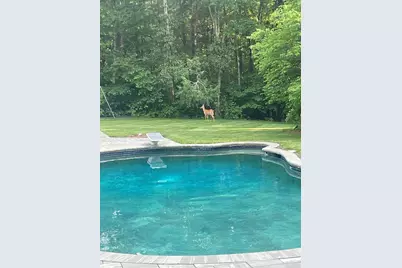 18A South Shaker Road, Harvard, MA 01451 - Photo 39